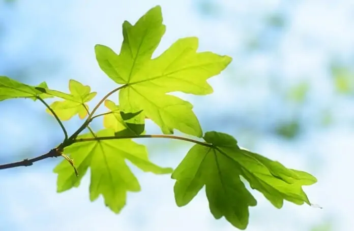 The crypto market begins to recover after the 16% drop over the weekend The crypto market begins to recover after the 16% drop over the weekend