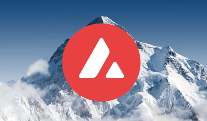 Banff, la última versión de AvalancheGo, ya está disponible en mainnet
