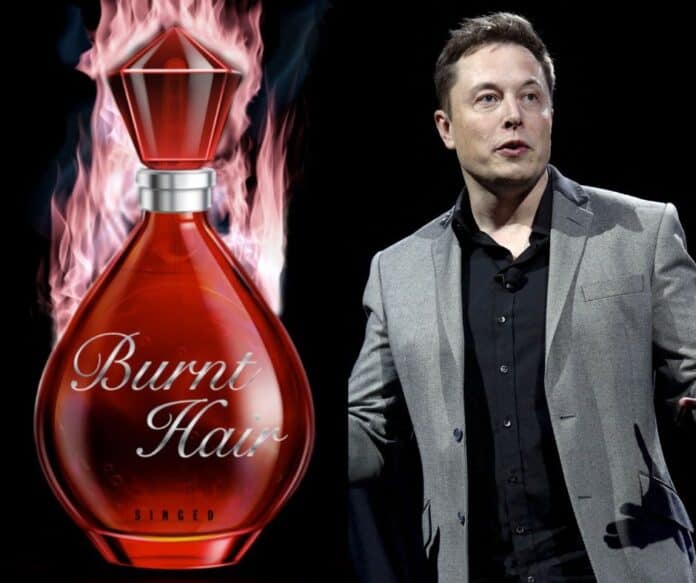 Elon Musk-BIt2Me News