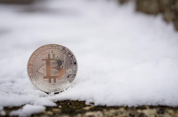 Bitcoin lo logrará, pero podría ser un largo invierno