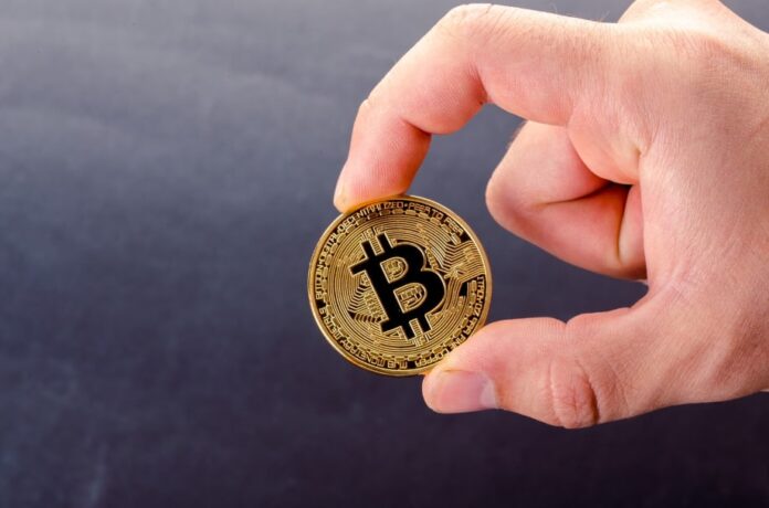 La volatilidad impulsa la adopción de Bitcoin