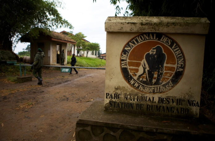 África tiene el primer parque nacional que opera una granja de minería Bitcoin