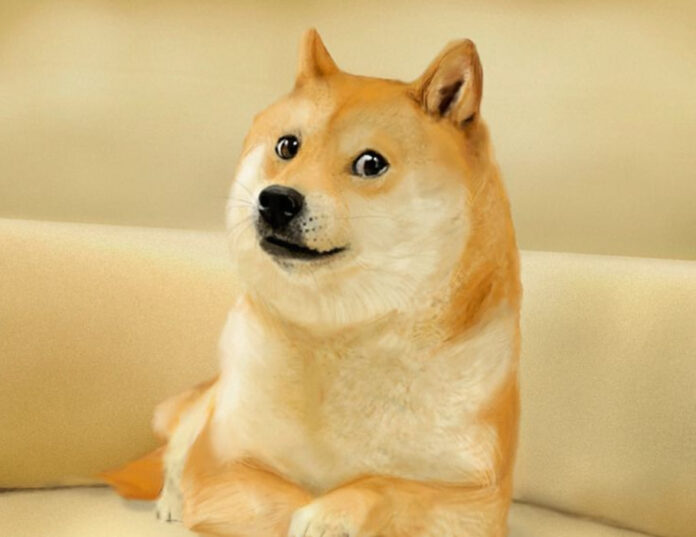 Twitter cambio su logotipo al de Dogecoin