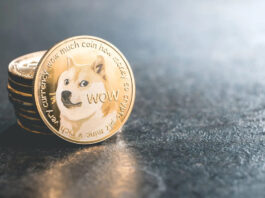 Twitter cambia su icónica imagen del pájaro azul por el logo de Dogecoin