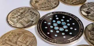 Crece el volumen de operaciones en los DEX de Cardano