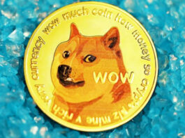 Elon Musk aconseja no invertir demasiado en Dogecoin