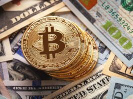 Bitcoin, las criptomonedas y el dinero fiat