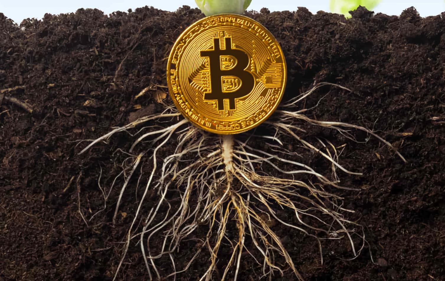 A new era for Bitcoin: Taproot Assets has launched its mainnet