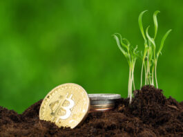 El rally de Bitcoin continúa