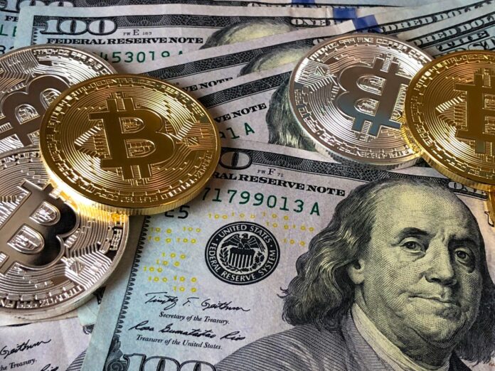 Bitcoin domina el panorama de inversión institucional en criptomonedas - Bit2Me News
