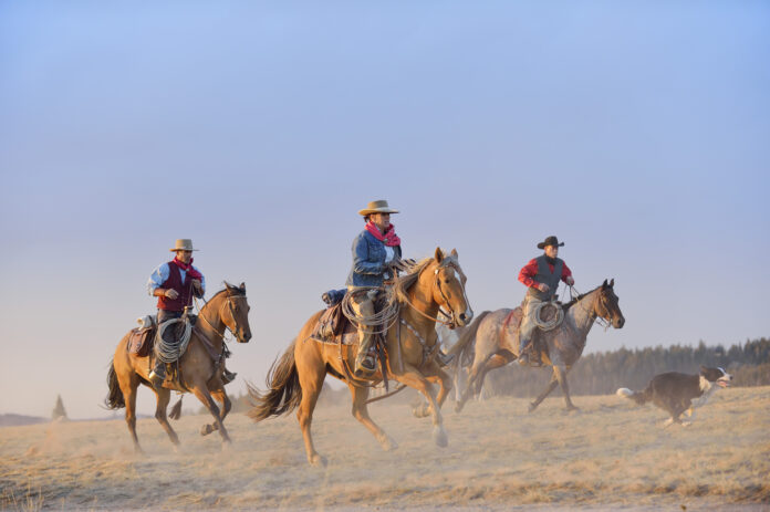 El estado de Wyoming busca liderar la revolución de los pagos digitales con su propia stablecoin