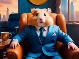Hamster Kombat y su token $HMSTR llegan a Bit2Me