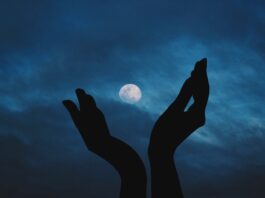 Midnight, la red de privacidad para el ecosistema de Cardano, se lanza en testnet