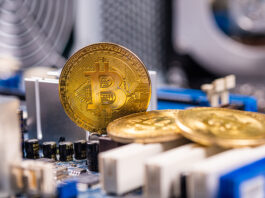 Bitcoin: Una tecnología cada vez más reconocida por su potencial de abordar los desafíos ambientales