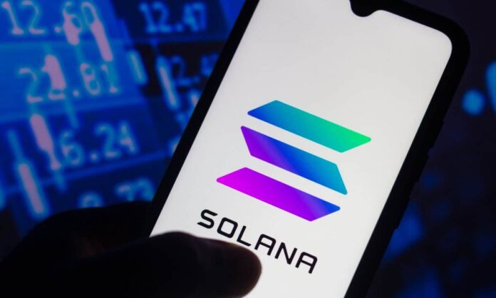 Solana lidera la popularidad de las altcoins en la industria Blockchain en 2024