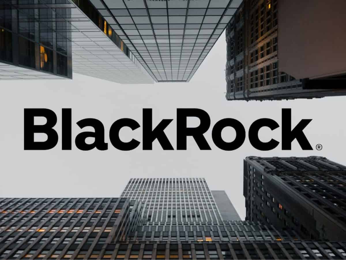 is blackrock the biggest company