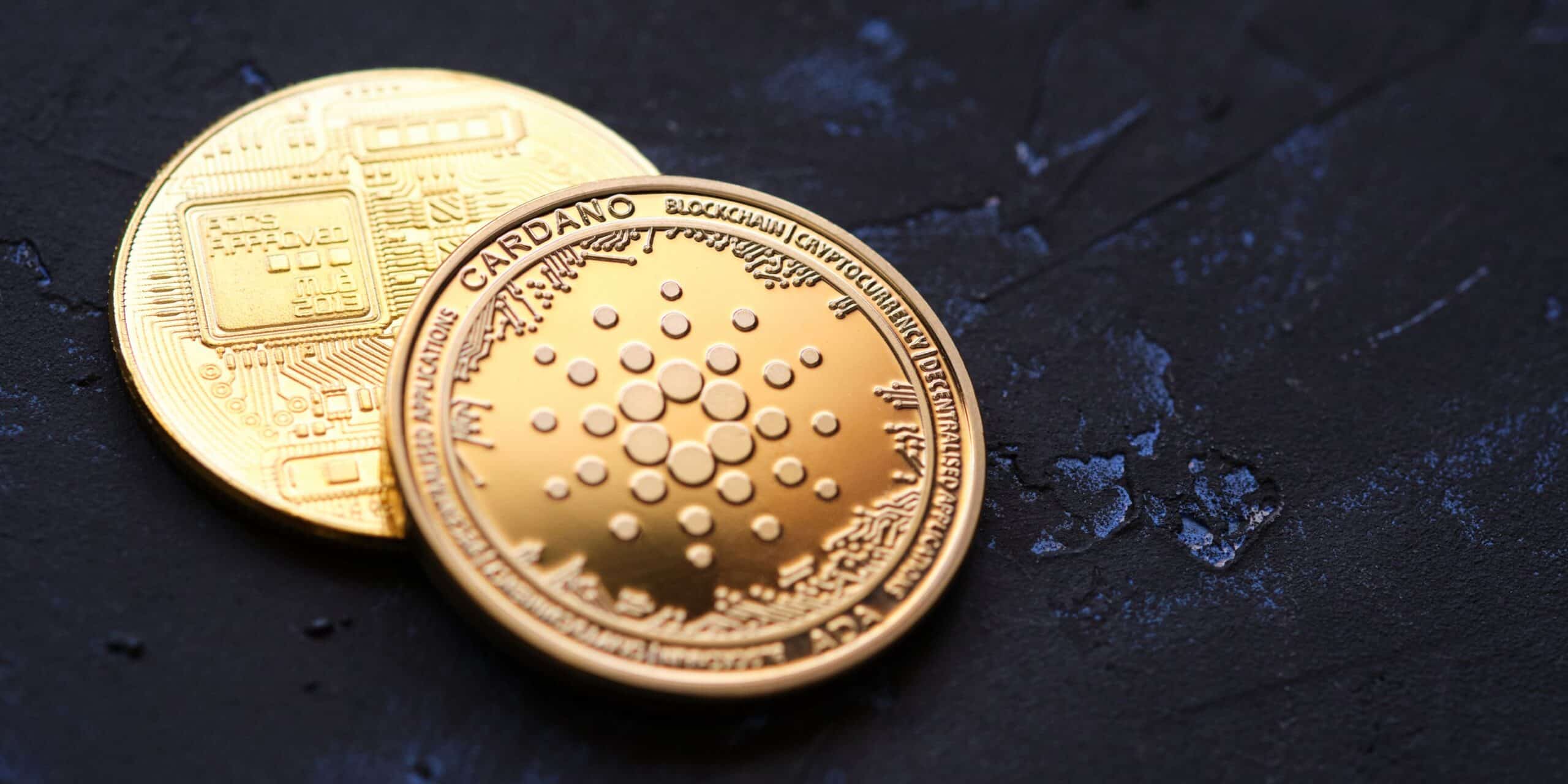 Cardano and Ripple are considering a partnership to boost the DeFi ecosystem