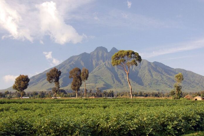 La minería de Bitcoin: La innovación que garantiza el futuro del Parque Nacional Virunga