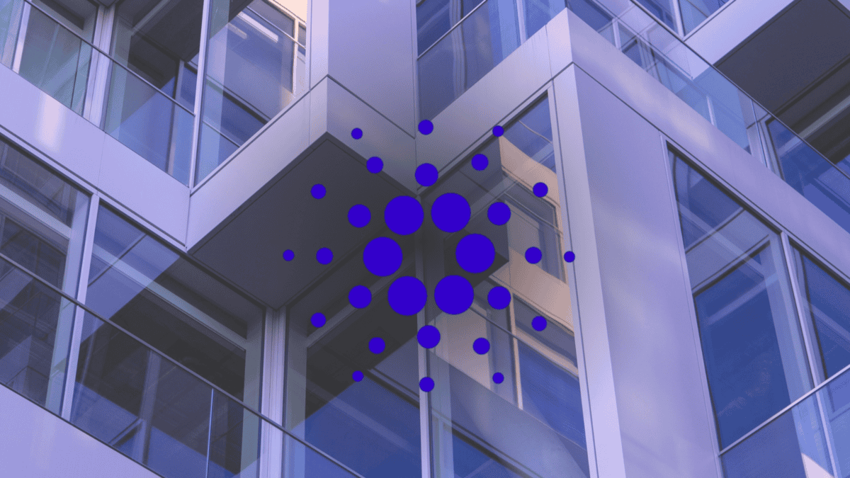 Cardano aposta na autonomia total com sua atualização Plomin