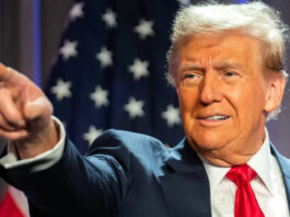 Efecto TRUMP memecoins