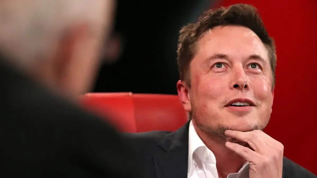 What is Harry Bolz, the meme that Elon Musk has promoted on X?