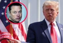 The Dark Side of Trump and Musk's Business: Cryptocurrencies, Movies, and Electric Cars The Dark Side of Trump and Musk's Business: Cryptocurrencies, Movies, and Electric Cars