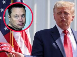 El lado oscuro de los negocios de Trump y Musk: Criptos, cine y coches eléctricos
