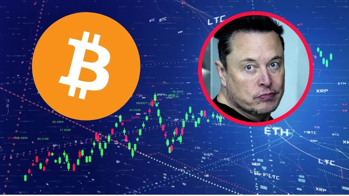 IA de Elon Musk prevê preço do Bitcoin para abril de 2025