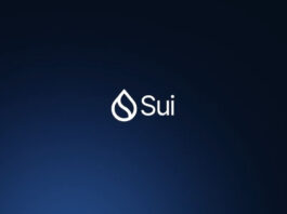 Sui Network supera a Cardano y otras redes en capitalización de stablecoins