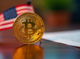 Bitcoin rompe récord en 2025: 14 días seguidos de entradas millonarias en los ETFs spot