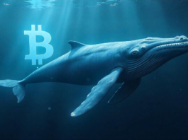 Este inversor despierta tras 14 años: mueve 8.000 millones de dólares en Bitcoin comprados por menos de 210.000
