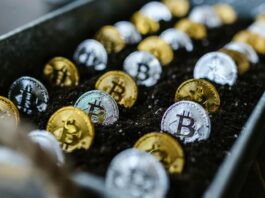 Estas son las 10 billeteras con mayor cantidad de bitcoins
