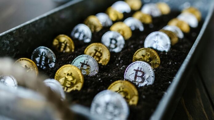 Estas son las 10 billeteras con mayor cantidad de bitcoins