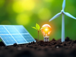 No es famosa ni cotiza alto, pero esta cripto podría ser clave en la transición energética