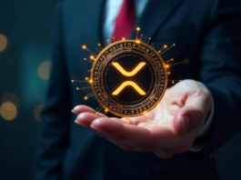 Nature’s Miracle formaliza estrategia de tesorería en XRP con respaldo regulatorio de la SEC