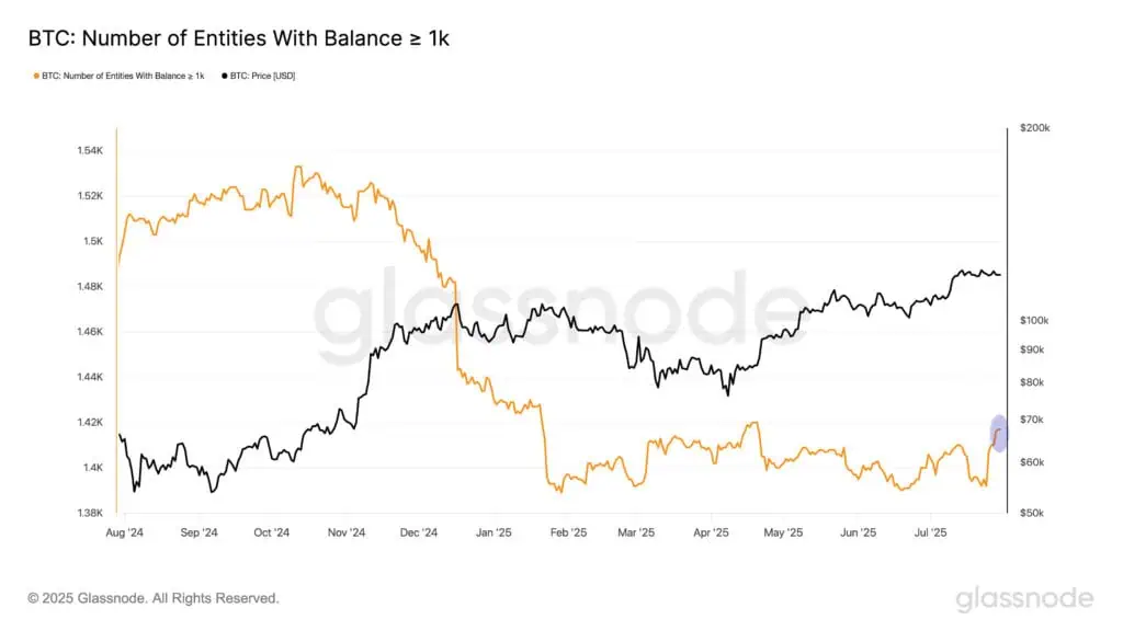 Número de entidades conocidas como “ballenas”, con saldo de 1.000 BTC o más. 