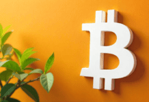 4 mitos comunes sobre las criptomonedas: lo que millones de usuarios ya saben y los medios aún no entienden 4 mitos comunes sobre las criptomonedas: lo que millones de usuarios ya saben y los medios aún no entienden