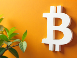 4 mitos comunes sobre las criptomonedas: lo que millones de usuarios ya saben y los medios aún no entienden