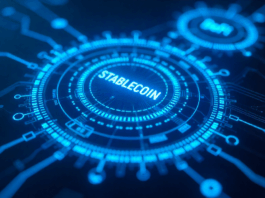11 países que ya regulan las stablecoins: Mira el mapa global y cómo afecta a tus pagos digitales