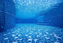 ¡ClearPool despega! Se une a Cicada para revolucionar PayFi y su token crece 70% ¡ClearPool despega! Se une a Cicada para revolucionar PayFi y su token crece 70%