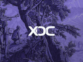 XDC Network: Token sube 50% en un mes con ruptura alcista clave