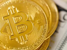 Metaplanet se convierte en el quinto mayor tenedor corporativo de Bitcoin tras adquirir 5.419 BTC