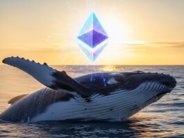 Así es cómo las ballenas compran Ethereum de forma silenciosa: ¿Regresa la confianza en ETH?