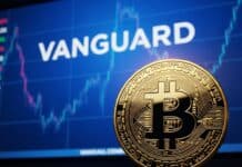 Vanguard revela una inversión de $21 millones en Bitcoin a través de Metaplanet en el 3º trimestre Vanguard revela una inversión de $21 millones en Bitcoin a través de Metaplanet en el 3º trimestre