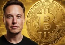 SpaceX mueve $268 millones en Bitcoin después de 3 meses inactivos: ¿Qué significa? SpaceX mueve $268 millones en Bitcoin después de 3 meses inactivos: ¿Qué significa?
