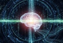 La IA comunitaria desafía a Big Tech: el nuevo dataset de 41 mil millones de tokens de Tether lo puede cambiar todo La IA comunitaria desafía a Big Tech: el nuevo dataset de 41 mil millones de tokens de Tether lo puede cambiar todo