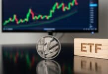 Llega el primer ETF de Litecoin en EE.UU.: así es la apuesta institucional por las altcoins Llega el primer ETF de Litecoin en EE.UU.: así es la apuesta institucional por las altcoins