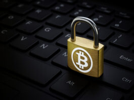 Si usaste Libbitcoin Explorer 3.x, esto te interesa: tu billetera podría estar en riesgo