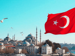 Turquía permitirá congelar cuentas de criptomonedas para frenar el lavado de dinero: lo hará el organismo Masak