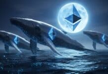 Ballenas compran la caída de Ethereum: acumulan $1.000 millones en solo 48 horas Ballenas compran la caída de Ethereum: acumulan $1.000 millones en solo 48 horas